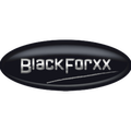 BlackForxx GmbH  Versteigerung